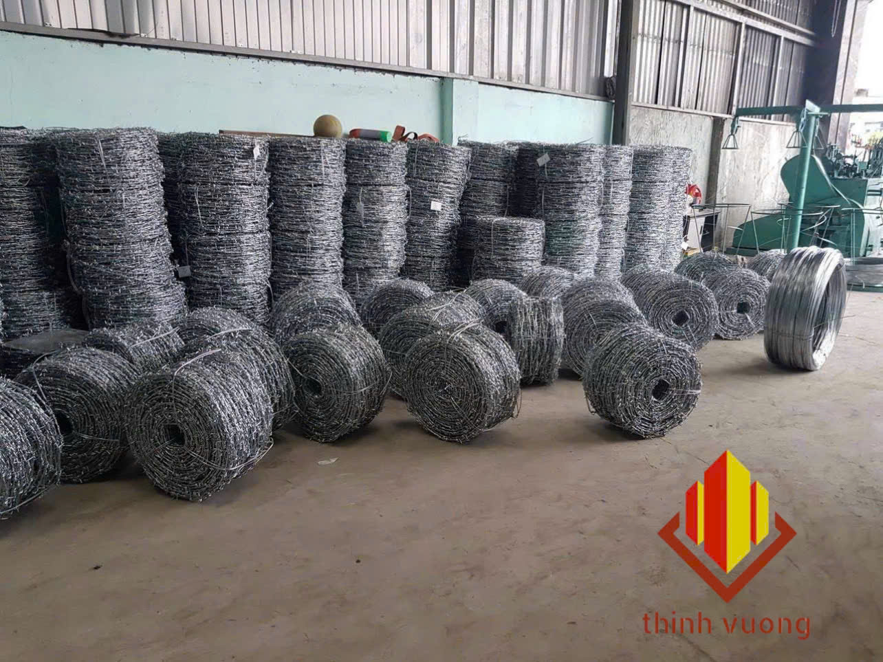 DÂY KẼM GAI – HÀNG RÀO KẼM GAI