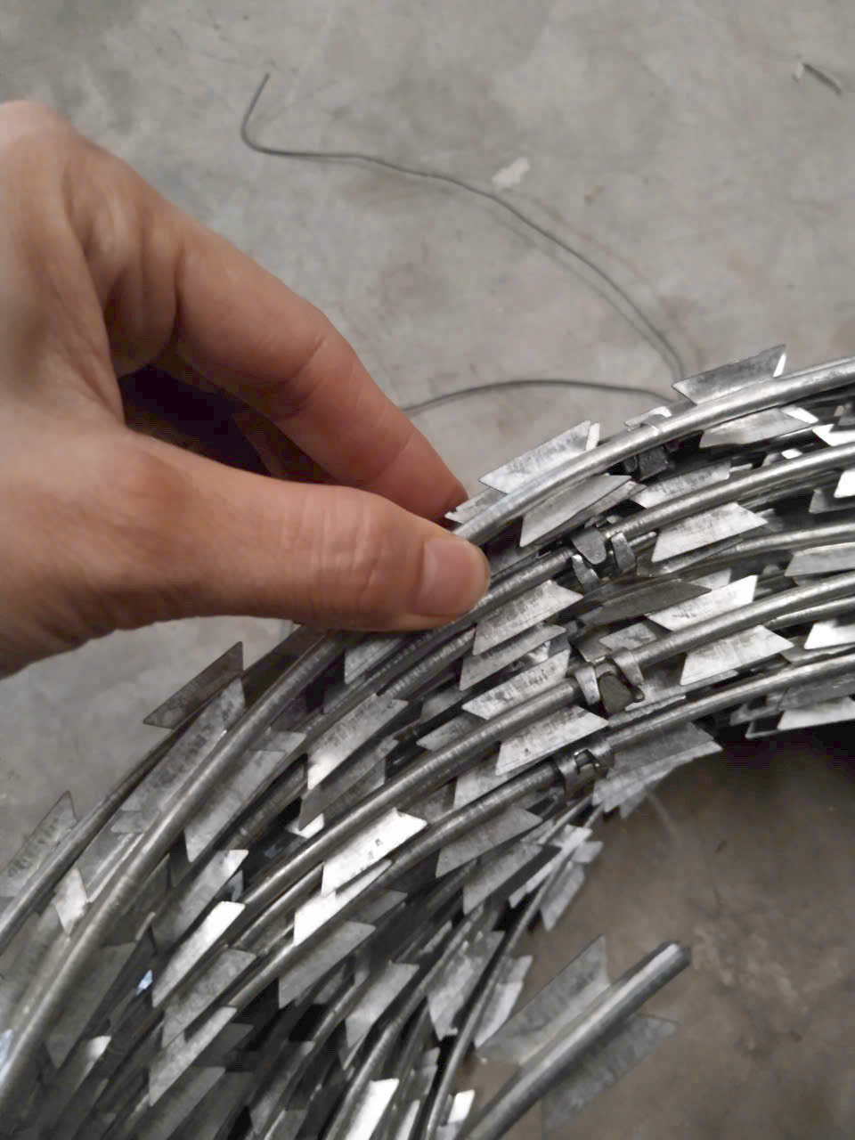 Kẽm gai lưỡi dao