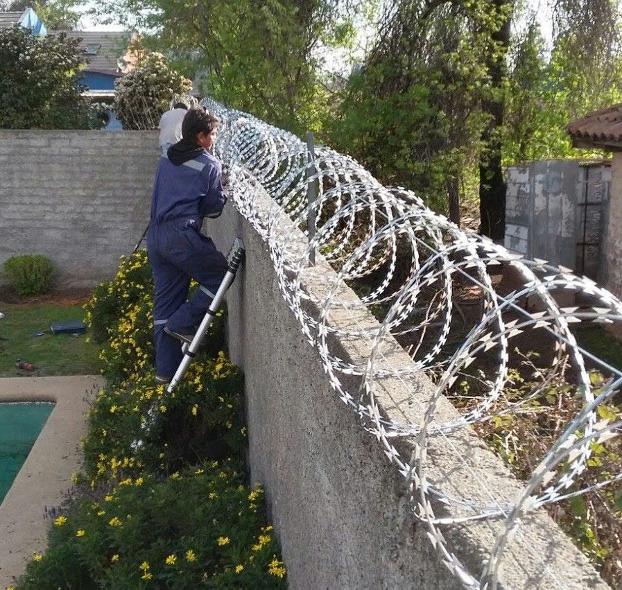 Kẽm gai bùng nhùng